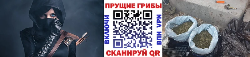 Псилоцибиновые грибы Psilocybe  Мамадыш 